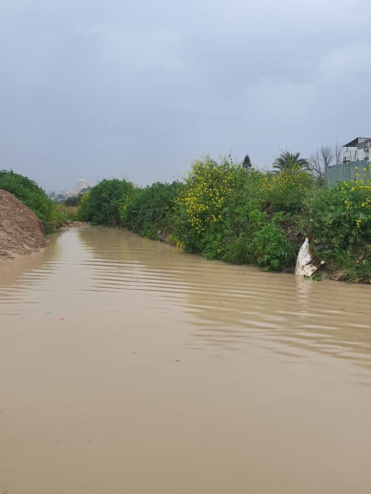 WhatsApp Image 2022-03-24 at 11.21.36 AM (1).jpeg